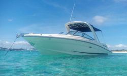 Alquile Sea Ray 250