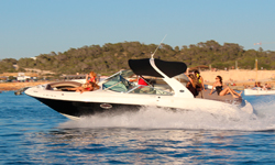 Alquile Sea Ray 295ss