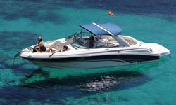 Alquile Sea Ray 290 